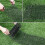 13.1FT Cat Mat with Spikes,Digging Cat Deterrent Devices Prickle Strips Roll Anti Kitten Stopper Tr 4