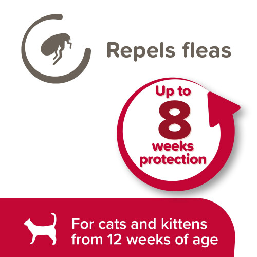 Beaphar Beaphar – Soft Flea Collar for Cats – Repels Fleas For up to 8 Weeks – Adjustabl 2