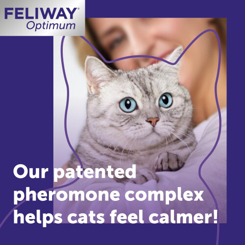 Feliway FELIWAY Optimum 3x30 Day Cat Calming Odourless Refills for Pheromone Diffuser, 3 1