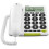 PhoneEasy 312cs Biały 1