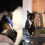 Reflective Cat Collars with Bells, Safe Quick Release Cat Collar, Adjustable to 7