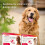 Beaphar Beaphar - Flea Tablets for Medium/Large Dogs (>11kg) - 3 Treatment Pack - Rapid 7