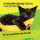 Yeowww Yeowww Banana Singles Cat Toy 7