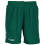 Hummel (15 Years, Evergreen) Hummel Mens Core Polyester Shorts 1
