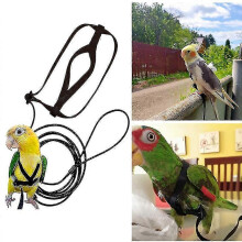 (XL, Black) Pet Parrot Bird Harness Leash Adjustable Bird Flying Harness Traction Rope with Cute Wing for Parrots Outdoor Training Toy