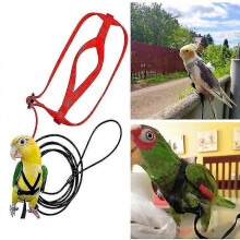 (M, Red) Pet Parrot Bird Harness Leash Adjustable Bird Flying Harness Traction Rope with Cute Wing for Parrots Outdoor Training Toy