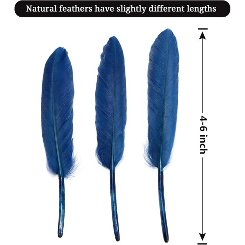 Penas de ganso azul marinho, naturais, 10-15 cm (4-6 polegadas), 120 peças 1