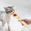 Cat wet food squeeze spoon plastic 1 piece 4