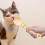 Cat wet food squeeze spoon plastic 1 piece 5