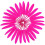 Penas de ganso rosa choque, naturais, 10-15 cm (4-6 polegadas), 120 peças 3