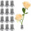 36 Peças Flower Frog, Round Stainless Floral Frogs, Flower Arranger Fixed Tool Pin Frog (Prata, 0,6 Polegadas) 3