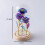 Preserved Rose Night Light for Anniversaries, Birthdays, 3