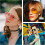 Διεστιακά γυαλιά ηλίου ανάγνωσης τύπου Aviator UV400 +2.0Lens3 8
