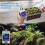 3X XY-DT01 Digital Temperature Controller -40-110C Digital Micro-Digital Thermostat with LCD Display 6