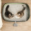 Cat Litter Box Semi-Enclosed Thickened High-Side 3
