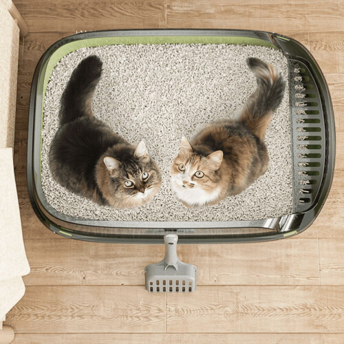 猫砂盆半封闭加厚高边防溅宠物厕所 2