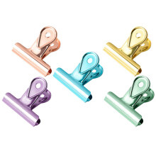 5St Decoratieve Klemmen Set Voor En Thuisgebruik