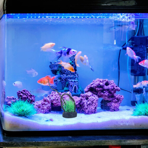 Aquarium Decor Hars Root Natuurlijke Visomgeving 2