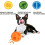 Paw Tricky Treat Ball, Large 3