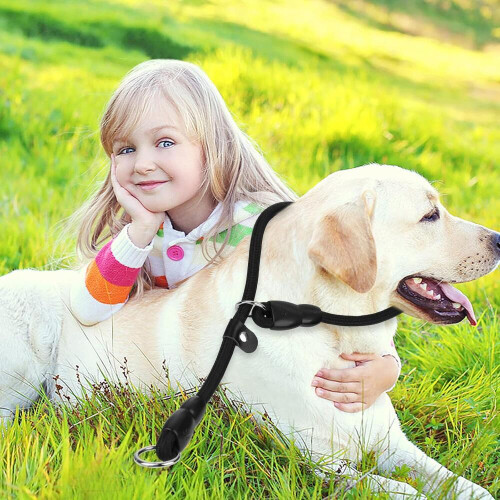 Adjustable Nylon Pet Dog Loop Slip Rope Leash Lead Training 1