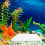 4St Filtertray Aquarium Wit PP Met Optimale Waterdoorlaat 3