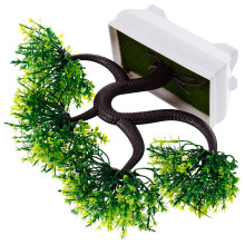 Kleine Bonsai Boom Voor Stijlvolle Binnenhuis Decor