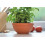 Prosperplast Prosperplastin DMS02 terrakottakulho 1