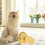 8St Onbreekbare Kattenkommen Set En Kleine 8