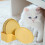 8St Onbreekbare Kattenkommen Set En Kleine 10