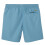 Lacoste (XL, Blue) Lacoste Mens Logo Swimming Trunks 2