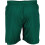 Hummel (15 Years, Evergreen) Hummel Mens Core Polyester Shorts 2