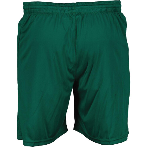 Hummel (15 Years, Evergreen) Hummel Mens Core Polyester Shorts 1