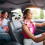 Auto Nekkussen Panda Universeel Comfortabele Steun 3