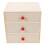 Multifunctionele Bureau Organizer Met Opberglades 10
