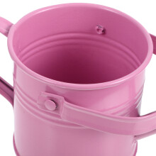Compacte Roze Gietkan Met Tuitje Voor Binnengebruik
