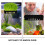 2St Vis Aquarium Plant Holder Hangend Levend Aquarium 6
