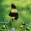 Multifunctionele Nylon Golfvlag Voor Precisietraining 3