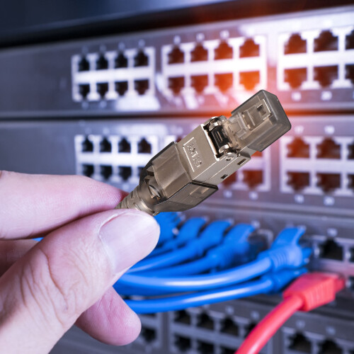 6X Modular Ethernet Plugs Cat6a Zinklegering Donkerbruin 2