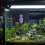 Kunststof Betta Leaf Bed Met Zuignap Betta Vis Rustplaats 1