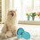8St Kattenvoederschaaltjes PP Ergonomisch Kittens 8