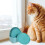 8St Kattenvoederschaaltjes PP Ergonomisch Kittens 9