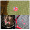 5St Vibration Dampener Tennis Racket Schokabsorber Rood 3