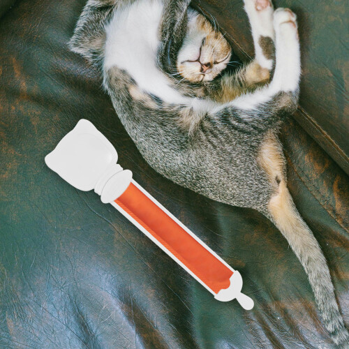 Draagbare Kattenlepel Natte Snacks En Voedsel 2