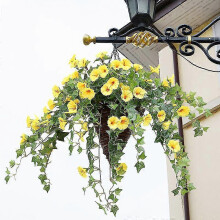 (Yellow) EVAGO Hanging Basket With Artificial Vine Silk Petunia Flowers For Outdoor/indoor