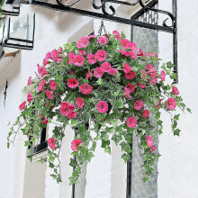 (Red) EVAGO Hanging Basket With Artificial Vine Silk Petunia Flowers For Outdoor/indoor