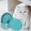 8St Kattenvoederschaaltjes PP Ergonomisch Kittens 7