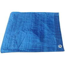 Blå presenning 6x10 m beskyttende (70 g/m2)