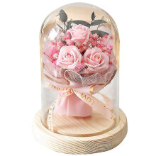 (pink) Eternal Flowers Rose In Glass Dome With Led Lights, Romantic Gifts For Women Xmas Valentine's Day