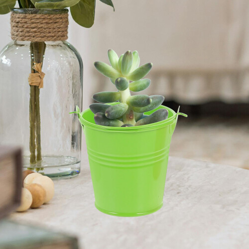 5St Multifunctionele Ijzeren Plantenemmers Voor En