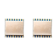 2X Módulo LoRa de Medición de Rango de 2,4 GHz LORA1280-TCXO